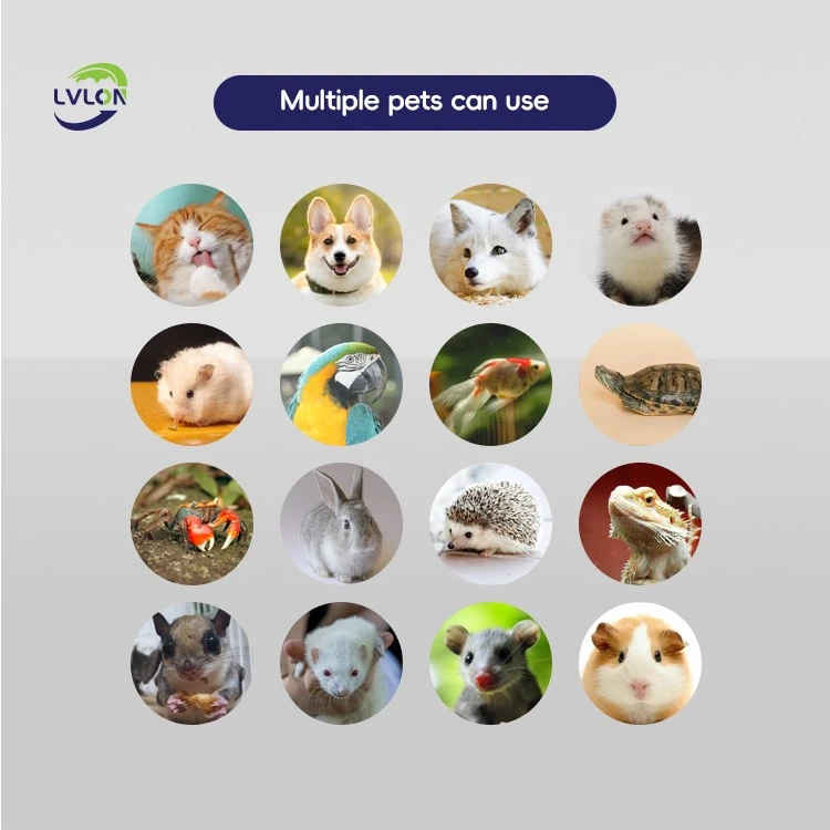 2-Extruded-Feed-Production-Line-for-Pets